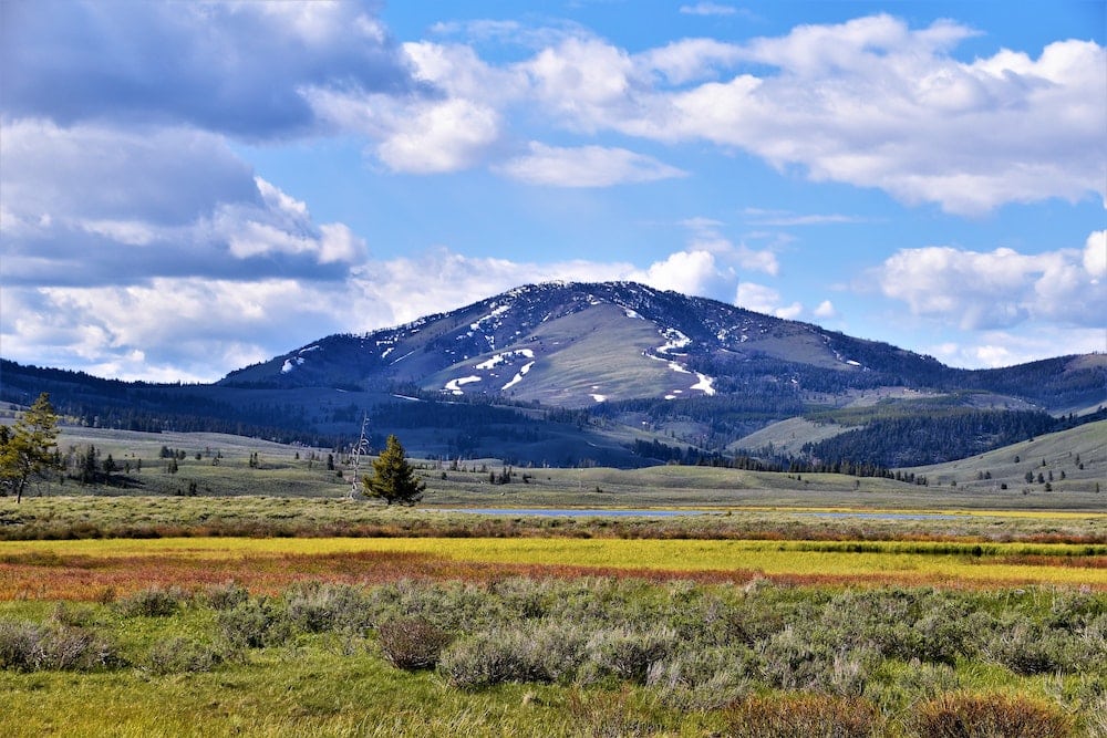 best banks in montana